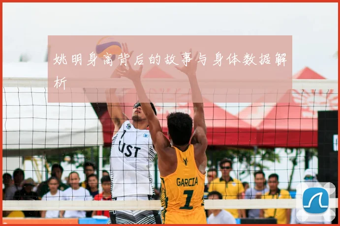 姚明身高背后的故事与身体数据解析